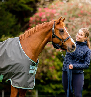 Coperta da Esterno Amigo® Hero 50g Horseware