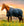 Couverture d’Extérieur Amigo® Ripstop 900D 100g Horseware