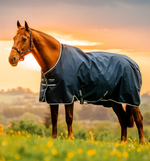 Couverture d’Extérieur Amigo® Ripstop 900D 100g Horseware