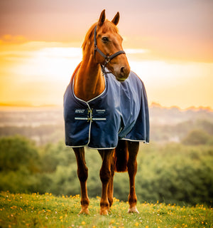 Couverture d’Extérieur Amigo® Ripstop 900D 100g Horseware