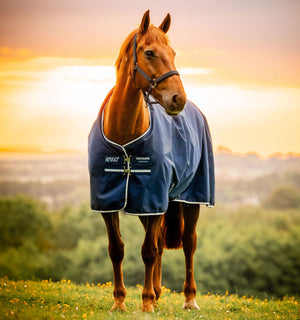Couverture d’Extérieur Amigo® Ripstop 900D 200g Horseware