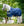 Couverture d’Extérieur Amigo® Ripstop 900D Doublure Polaire 50g Horseware