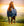 Couverture d’Extérieur Amigo® Ripstop 900D Doublure Polaire 50g Horseware