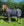 Couverture d’Extérieur Poulain Amigo® Ripstop 900D 50g Horseware