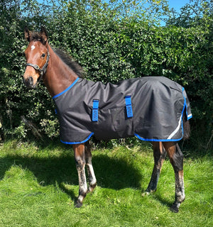 Couverture d’Extérieur Poulain Amigo® Ripstop 900D 50g Horseware