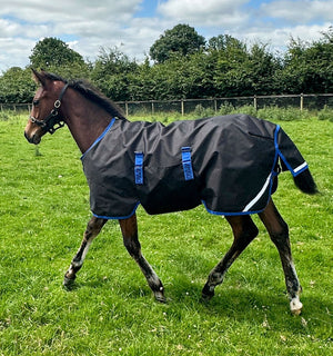 Couverture d’Extérieur Poulain Amigo® Ripstop 900D 200g Horseware