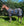 Couverture d’Extérieur Poulain Amigo® Ripstop 900D 200g Horseware
