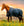Couverture d’Extérieur Poney Amigo® Ripstop 900D 50g Horseware