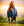 Couverture d’Extérieur Poney Amigo® Ripstop 900D 50g Horseware