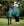 Couverture d’Extérieur Poney Amigo® Ripstop 900D 200g Horseware