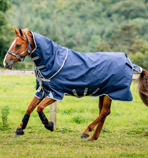 Ensemble Couverture d’Extérieur Amigo® Bravo 12 Plus 50g + Doublures 100g et 200g Horseware