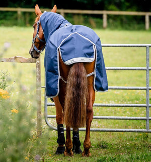 Ensemble Couverture d’Extérieur Amigo® Bravo 12 Plus 50g + Doublures 100g et 200g Horseware