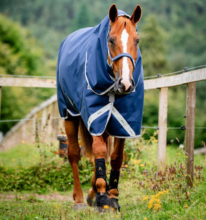 Ensemble Couverture d’Extérieur Amigo® Bravo 12 Plus 50g + Doublures 100g et 200g Horseware