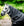 Ensemble Couverture d’Extérieur Amigo® Bravo 12 Plus 50g + Doublures 100g et 200g Horseware
