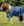 Couverture d’Extérieur Amigo® 1200D XL 50g Horseware
