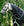 Couvre-cou Amigo® 1200D XL 0g Horseware