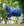 Horseware Amigo 900D 0g Waterproof Neck Cover