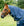 Horseware Amigo 900D 0g Waterproof Neck Cover