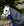 Horseware Amigo 900D 0g Waterproof Neck Cover