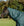 Couvre-cou Amigo® Ripstop 900D 150g Horseware