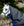 Couvre-cou Amigo® Ripstop 900D 150g Horseware
