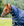 Couvre-cou Amigo® 1200D 0g Horseware