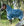 Couverture d’Extérieur Amigo® AmEco 1200D Plus 0g Horseware