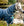 Couverture d’Extérieur Amigo® AmEco 1200D Plus 100g Horseware