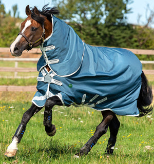 Couverture d’Extérieur Amigo® AmEco 1200D Plus 100g Horseware