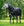 Couverture d’Extérieur Amigo® 1200D Plus 0g Horseware – Couvre-cou amovible