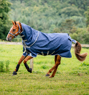 Couverture d’Extérieur Amigo® 1200D Plus 250g Horseware – Couvre-cou amovible