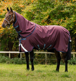 Couverture d’Extérieur Amigo® 1200D Plus 250g Horseware – Couvre-cou amovible