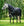 Εξωτερικό Κάλυμμα Amigo Horseware 1200D Plus 400g – με Αφαιρούμενο Κάλυμμα Λαιμού