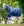 Couverture d’Extérieur Amigo® Ripstop 900D Plus 0g Horseware