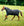 Couverture d’Extérieur Amigo® Ripstop 900D Plus 0g Horseware