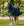 Couverture d’Extérieur Amigo® Ripstop 900D Plus 0g Horseware