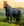 Couverture d’Extérieur Amigo® Ripstop 900D Plus 0g Horseware