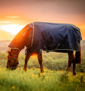 Couverture d’Extérieur Amigo® Ripstop 900D Plus 0g Horseware
