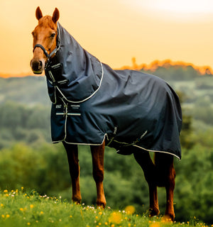 Couverture d’Extérieur Amigo® Ripstop 900D Plus 100g Horseware