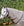 Couverture d’Extérieur Amigo® 900D Revive Plus 200g Horseware