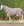 Couverture d’Extérieur Amigo® 900D Revive Plus 200g Horseware