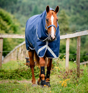 Couverture d’Extérieur Amigo® Bravo 12 Plus 100g Horseware