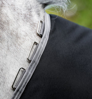 Couverture d’Extérieur Amigo® Bravo 12 Plus 100g Horseware