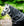Couverture d’Extérieur Amigo® Bravo 12 Plus 100g Horseware