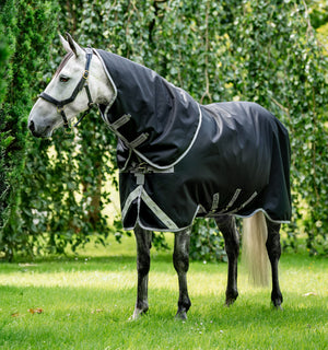 Couverture d’Extérieur Amigo® Bravo 12 Plus 100g Horseware