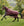 Couverture d’Extérieur Amigo® Bravo 12 Plus 100g Horseware