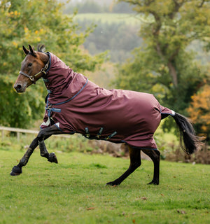 Couverture d’Extérieur Amigo® Bravo 12 Plus 100g Horseware
