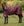 Couverture d’Extérieur Amigo® Bravo 12 Plus 100g Horseware