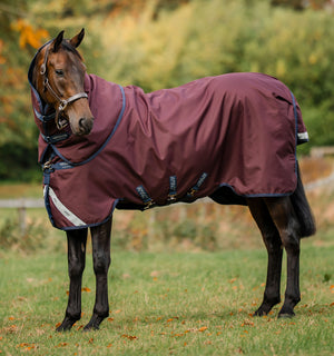 Couverture d’Extérieur Amigo® Bravo 12 Plus 100g Horseware
