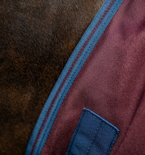 Couverture d’Extérieur Amigo® Bravo 12 Plus 100g Horseware